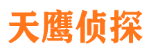 岱岳调查公司